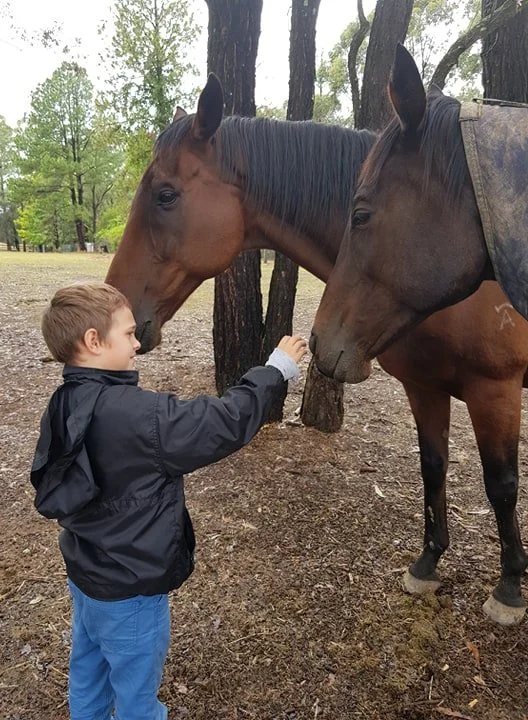 A boy offering his hand to two horses at the paddock fence