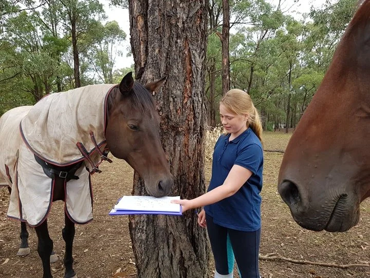 Children recording observations about a horse during a farm visit