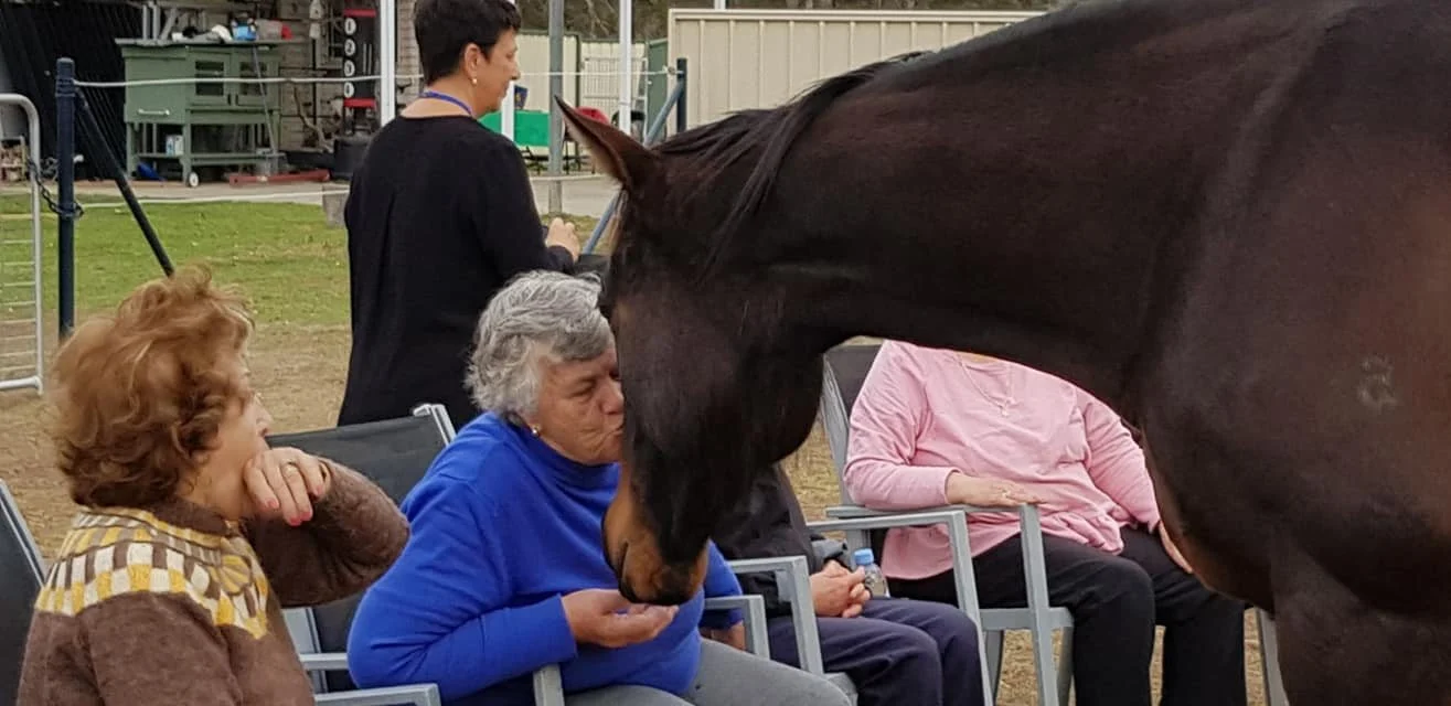 Seniors seated in a circle, smiling as a horse greets them
